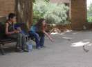 Photo Number 9